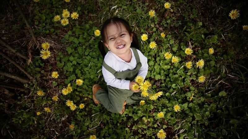 Batı Karadeniz yaylaları çiçeklerle renklendi