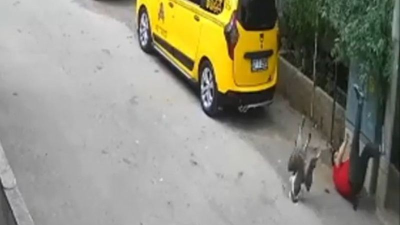 Antalya'da taşladığı kazlar tarafından kovalandı