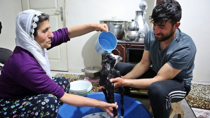 Tunceli'de annenin reddettiği oğlağa, torunları gibi bakıyorlar