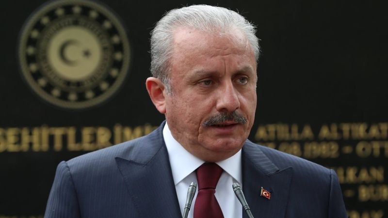 Mustafa Şentop'tan, sözde 1915 olayları açıklaması