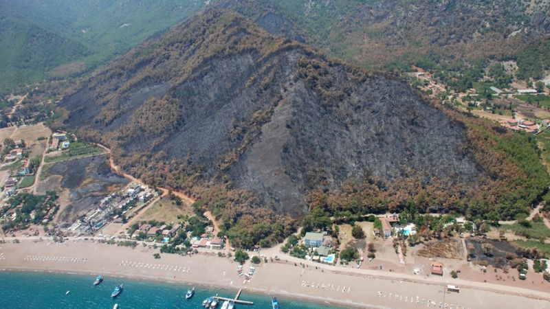 Antalya'da 2008'de yanan ormanlar tekrar yeşillendi