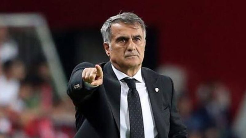 Şenol Güneş: Ercan Kara'yı elimizden kaçırdık