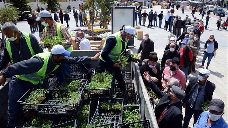 Kırşehir'de 120 bin sebze fidesi dağıtıldı