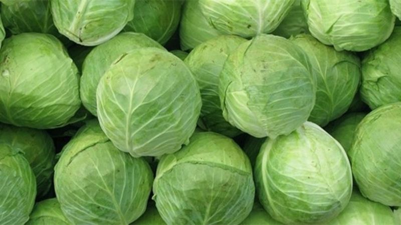 Diyetinize ekleyebileceğiniz yüksek proteinli 10 sebze