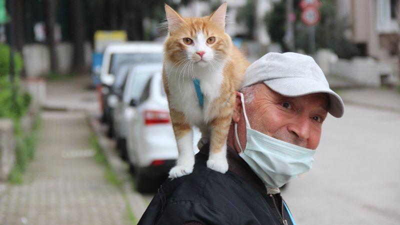 Kocaeli'de her yere omzunda kedisiyle gidiyor