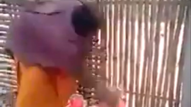 Hindistan'da putları kırmaya başladılar