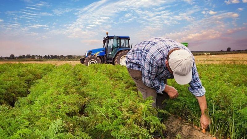Çiftçi belgesi nasıl alınır? Çiftçi Kayıt Sistemi belge sorgulama ekranı 2021