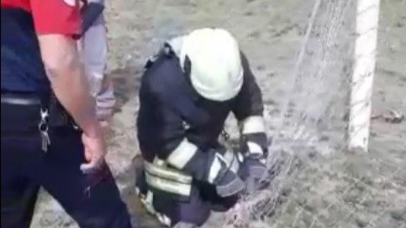 Denizli'de kale ağlarına takılan kediyi itfaiye kurtardı