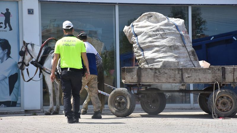 Edirne'de at arabasına çarpan kurye yaralandı