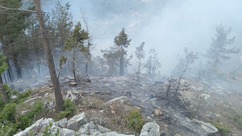 Osmaniye 10 dekar alan yandı