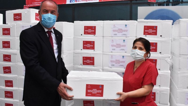 Muğla'da sağlık çalışanlarına 20 ton balık dağıtıldı