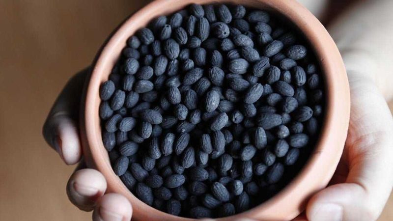 Zeytin çekirdeği ikilemi: Yutulur mu, yutulmaz mı?