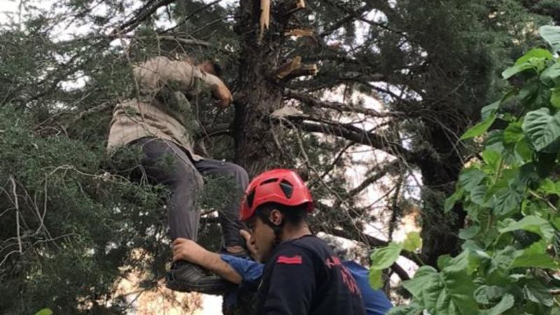 Kahramanmaraş'ta budamak için çıktığı ağaçta fenalaşınca itfaiye kurtardı
