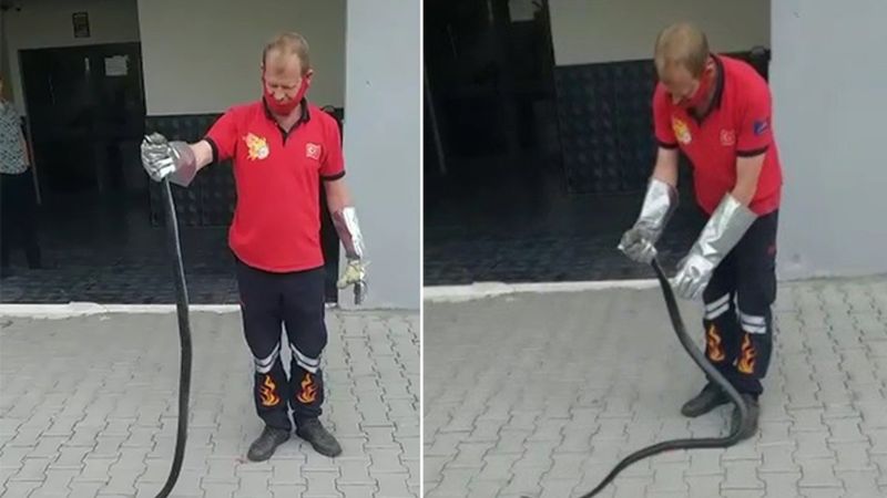 Mersin'de site bahçesinde yılan yakalandı