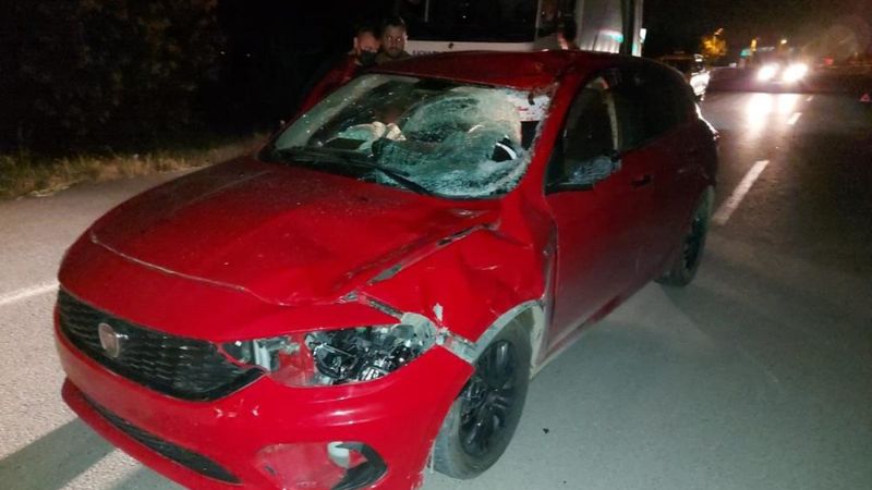 Sakarya'da otomobil ahırdan kaçan ata çarptı