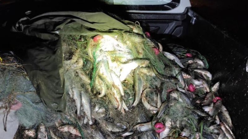 Van'da, kaçak inci kefali avlayan 8 kişiye ceza