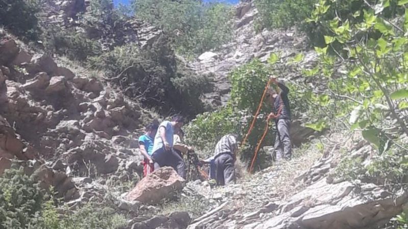 Batman'da uçuruma yuvarlanan inek kurtarıldı