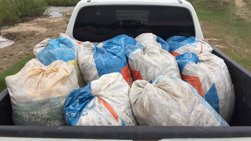 Van'da kaçak avlanmış 1,5 ton inci kefali ele geçirildi