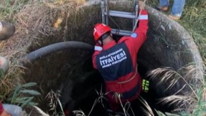 Muğla'da kuyuya düşen koyun itfaiye ekiplerince kurtarıldı