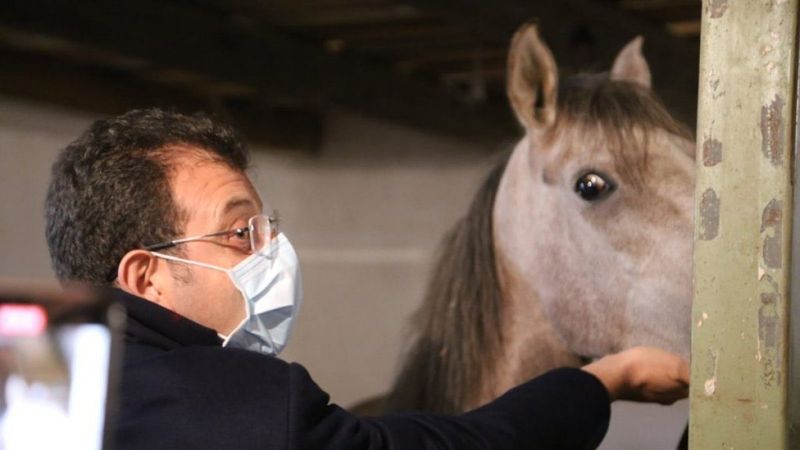 Ekrem İmamoğlu'nun Adalar'daki atlara ilişkin iddialarına yalanlama