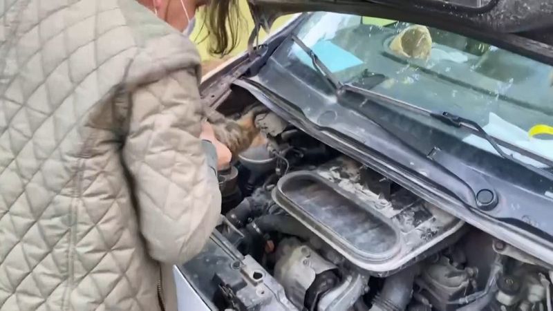 Bursa'daki kamyonete yavru kedi sıkışınca herkes seferber oldu