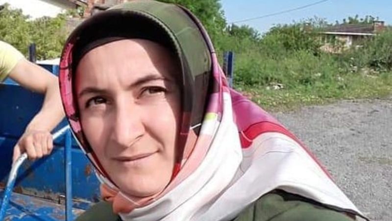 Kastamonu'da eşi ve kayınbiraderinin kavgasını ayırırken öldü