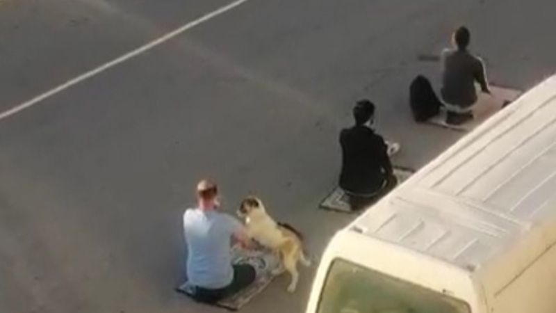 Manisa'da bayram namazındaki köpek cemaatin yanından ayrılmadı