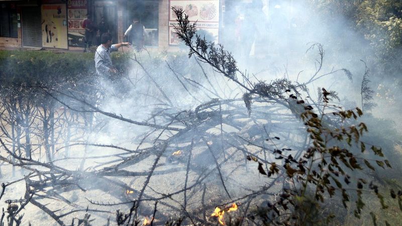 Ankara'da fırtına: Ağaçlar devrildi, elektrik telleri koptu 