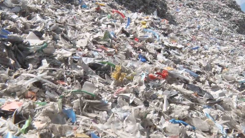 Alibeyköy Barajı'nın çevresi plastik çöplüğüne döndü