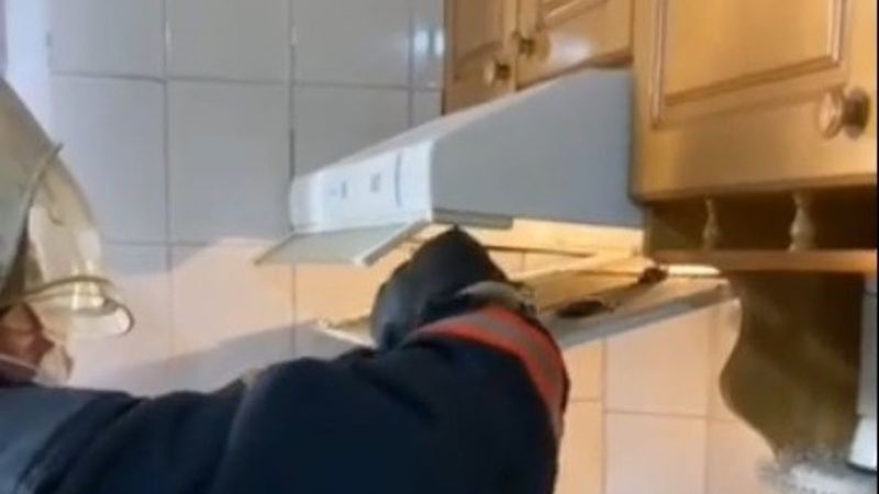 Mersin'de yarasalar, mutfaktaki davlumbaza girdi