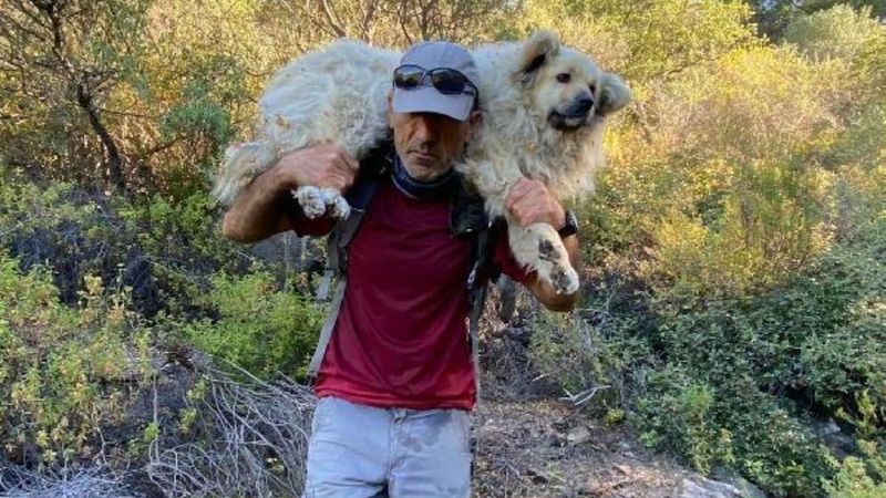 Muğla'da kurtarılan köpeği sırtında taşıdı