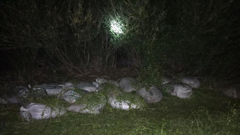 Van'da kaçak avlanan 1 ton 750 kilo inci kefali bulundu