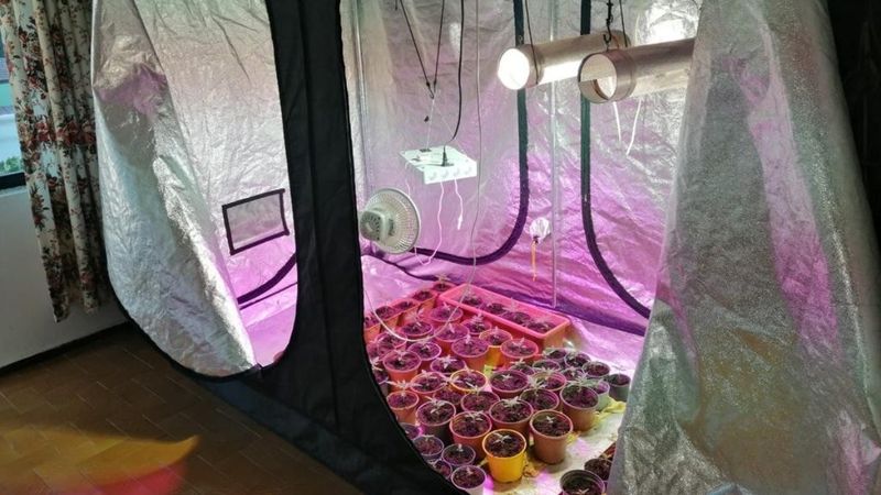 Muğla’da otel odasında uyuşturucu madde imal düzeneği bulundu