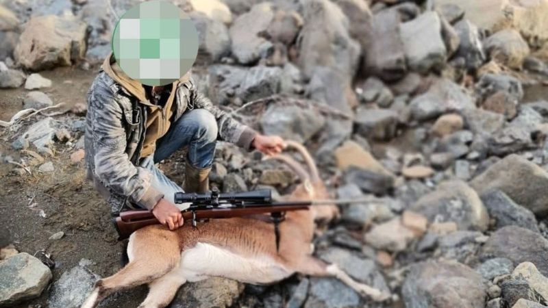 Denizli'de dağ keçisi avlayan 6 kişiye ceza