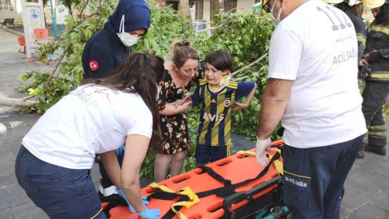 Denizli'de üzerine ağaç devrilen çocuk iğneden korktuğu için ambulansa binmedi