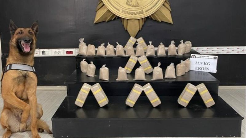 Hakkari'de toprağa gömülü 22 kilo eroin bulundu