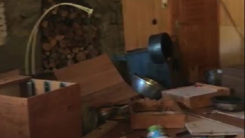 Rize’de aç kalan ayı evin altını üstüne getirdi