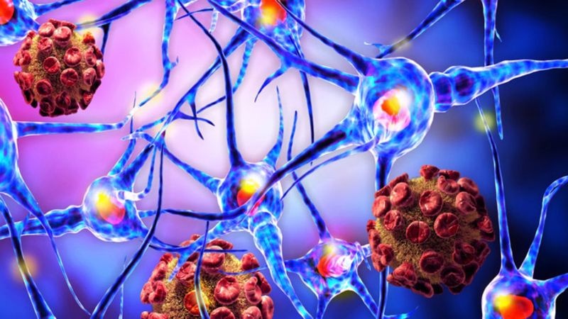 Bağışıklık sistemini güçlendiren 4 vitamin