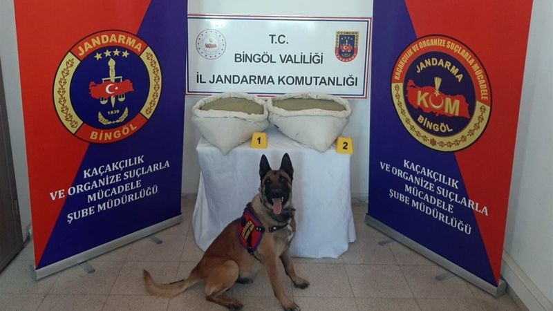 Bingöl'de 19 kilo esrar, 110 bin kök kenevir yakalandı