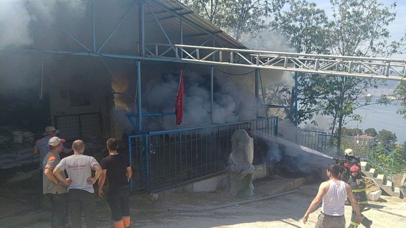 Kocaeli'deki besi çiftliğinde yangın çıktı