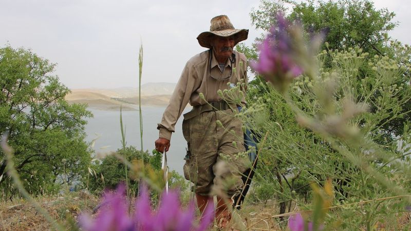 Tunceli'de Robinson Dede adasına kavuştu