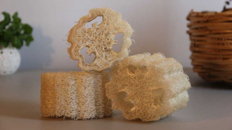 Doğal banyo kesesi: Kabak lifi nedir, nasıl kullanılır?