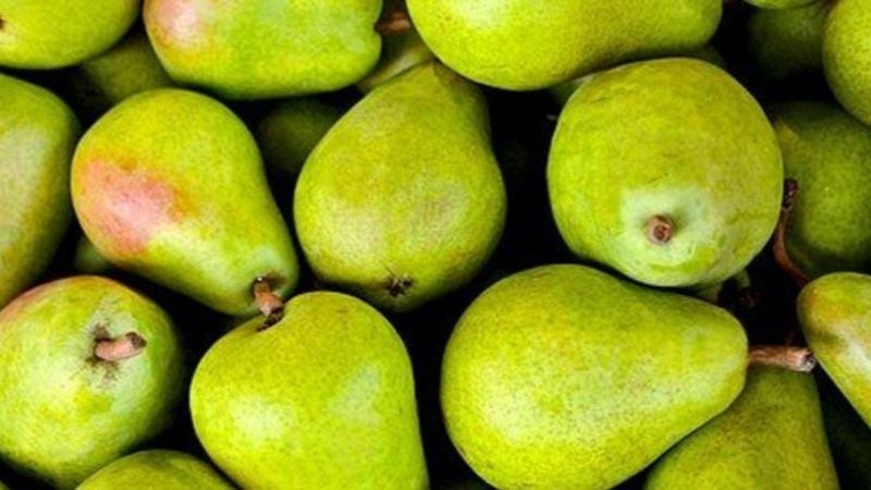 Yemeniz gereken yüksek lifli 25 yiyecek