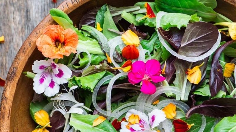 Hem saksıda, hem tabakta: Yenilebilir çiçekler hangileri?