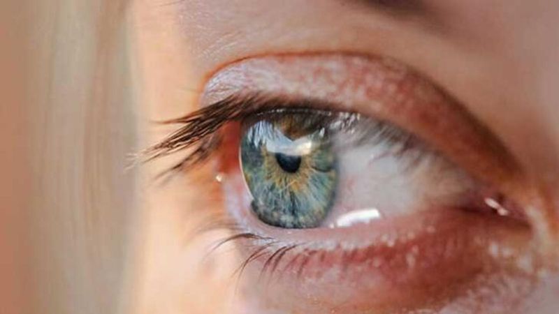 Göz sağlığı için en iyi 10 besin