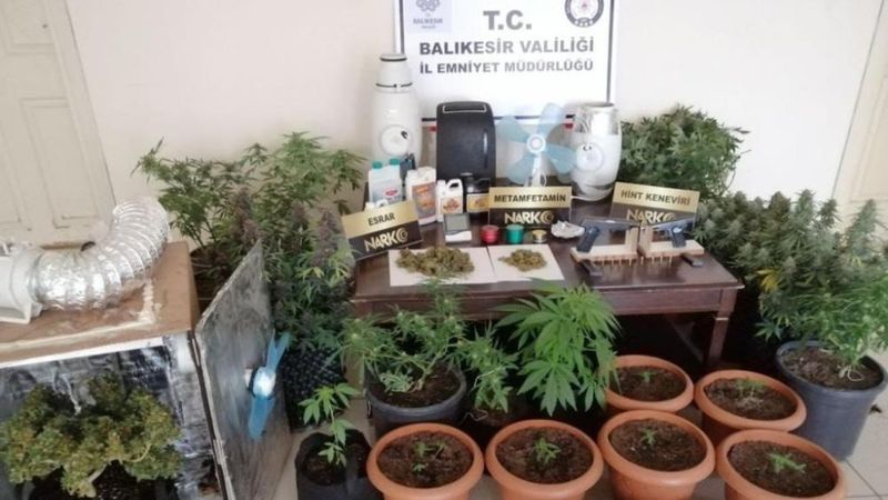 Balıkesir'de elbise kabininde kenevir yetiştirenlere baskın