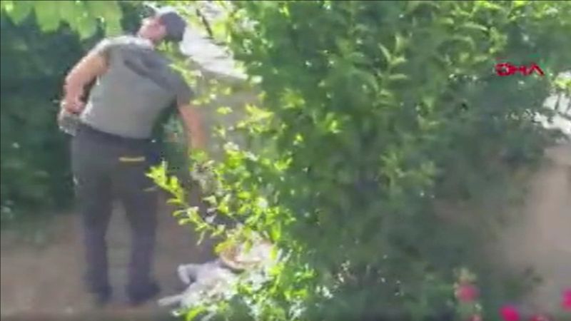 Erzincan’da eve girmek isterken kargalar saldırdı