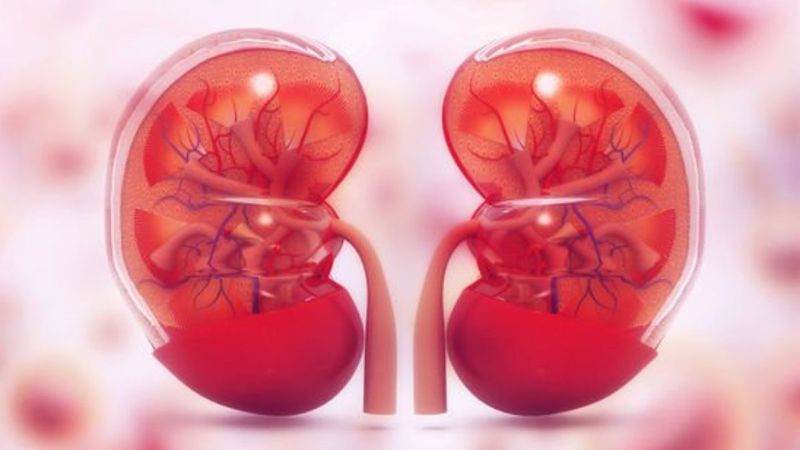 Böbrek sağlığı için en iyi ve en kötü besinler