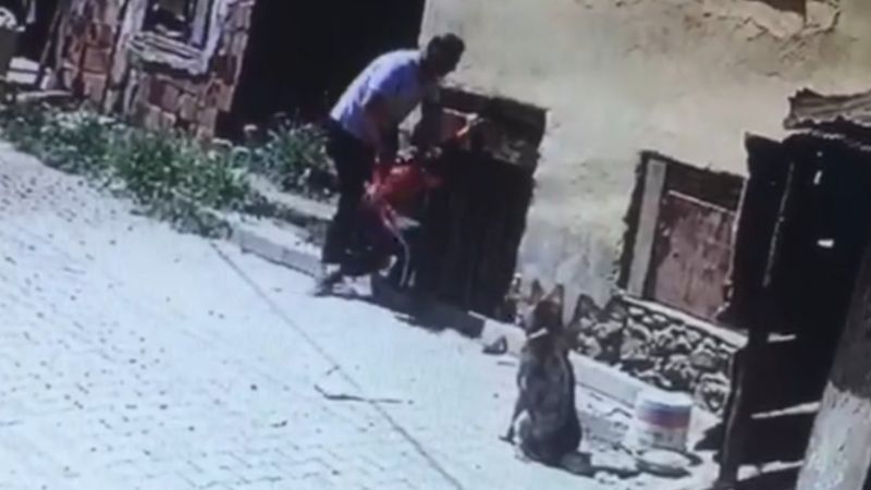 Kastamonu'da çocuğu köpeklerin önüne atan cani