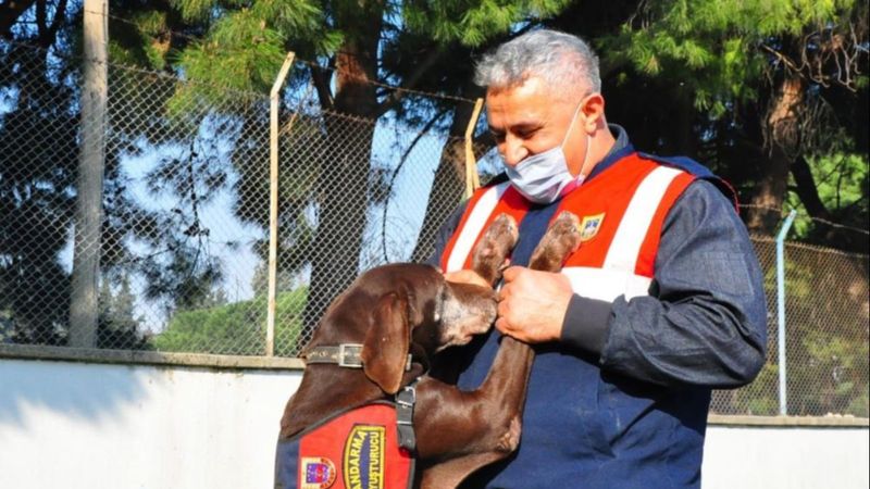 Manisa'da narkotik köpeği Volta emekli oldu